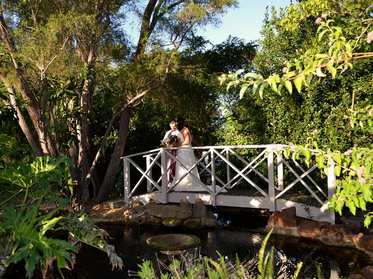 Bride on the outdoor bridge in The Glade