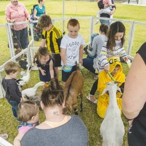 Children Petting Animals At A Small Animal Farm On The Grass Area At The Outside Event Venue.
