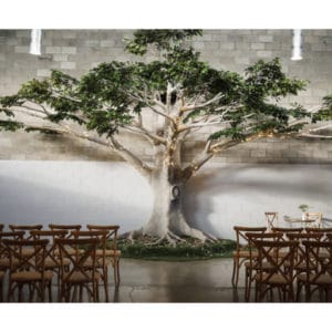 Stunning function room with chairs facing indoor tree decoration